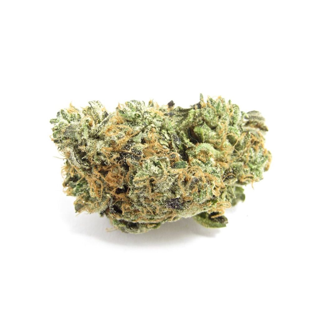 Blue Zushi Frost