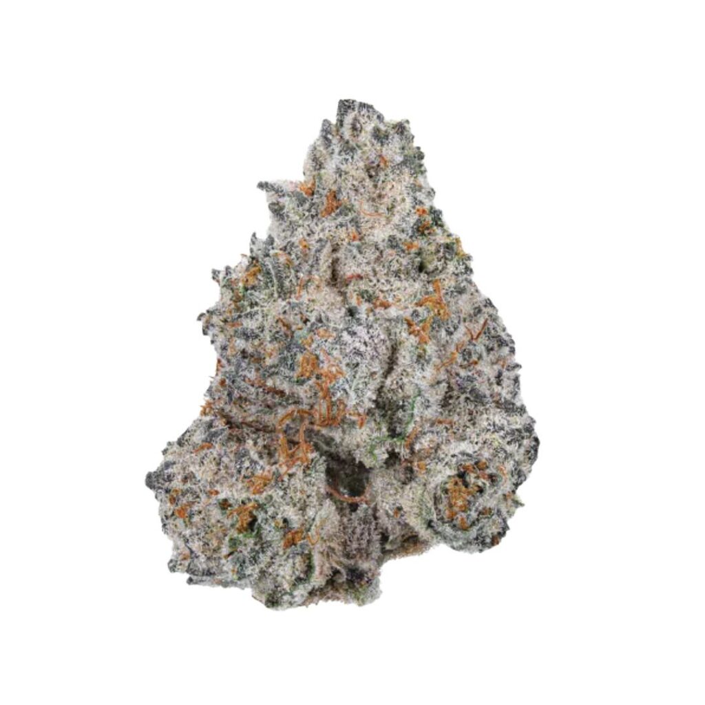 White Truffle