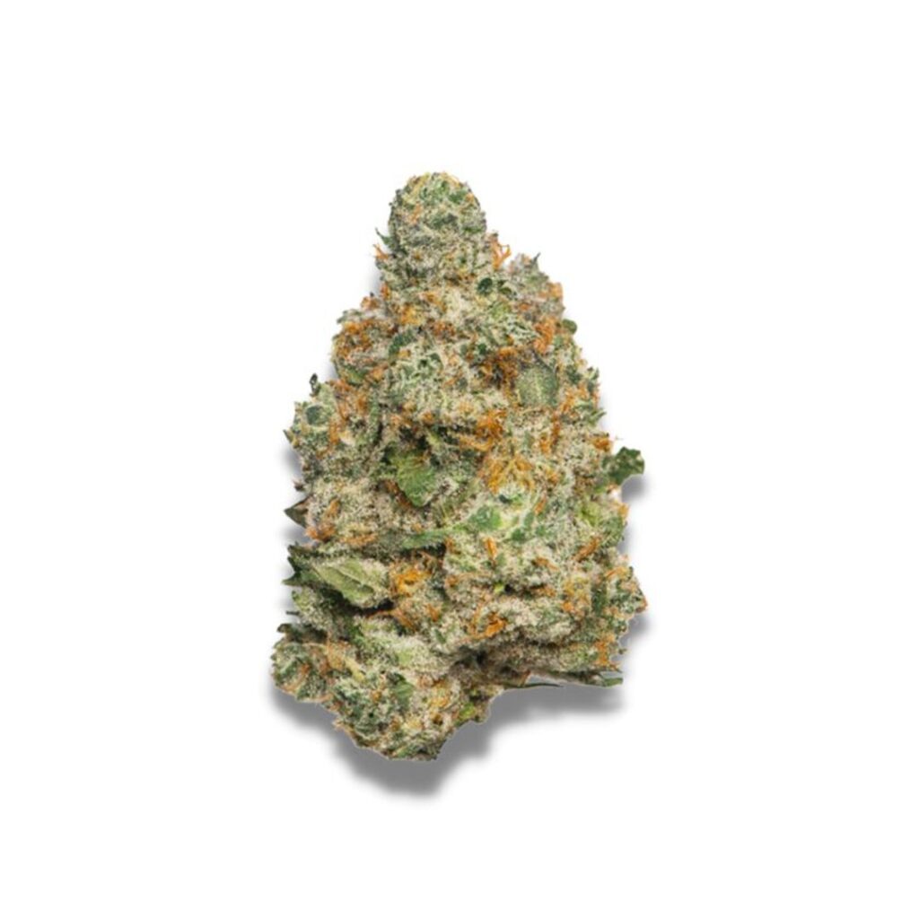 Apple Fritter Autofloreciente