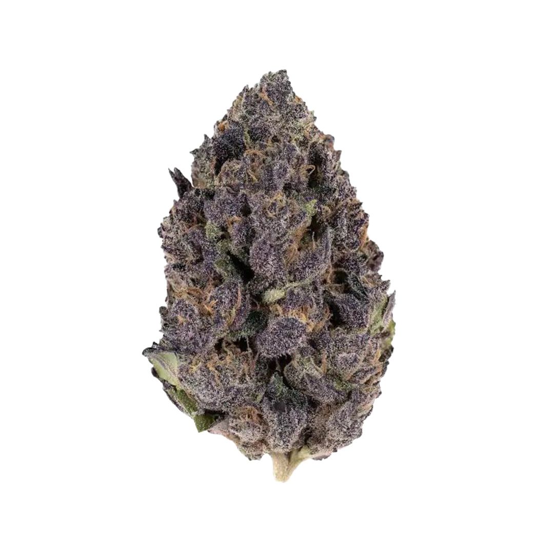 Banana Punch Autoflower