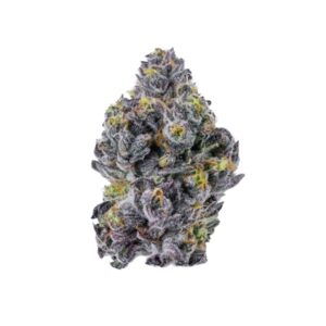 Sticky Wasabi Triploid