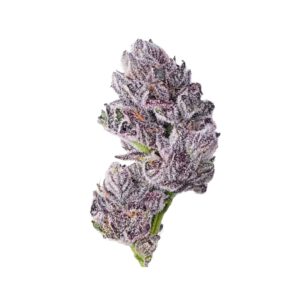 Iced Sangria Triploid